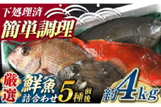 【期間限定！】対馬産 鮮魚 詰め合わせ 5種前後 4.0ｋｇ《対馬市》【対海】新鮮 天然 直送 冷蔵 セット [WAH022]