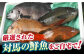 海鮮 旬 活〆 活締め 厳選 刺身 刺し身 魚介 海鮮丼 寿司 煮付け 焼き魚 イカ サバ 魚 さしみ 鮮魚 魚介類 海の幸