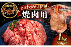 長崎和牛 あか牛 焼肉用 1kg (500g×2)《対馬市》【株式会社Tsukushi】 対馬 牛 和牛 焼肉 冷凍配送 [WCR004]
