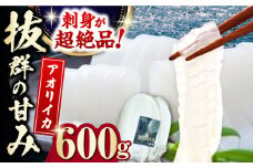 対馬産 アオリイカ 600g《対馬市》【保家商事】烏賊 いか 刺身 海鮮 冷凍 [WAA028]