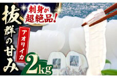 対馬産 アオリイカ 2kg《対馬市》【保家商事】烏賊 いか 刺身 海鮮 冷凍 [WAA030]