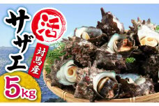 対馬産 活サザエ 5kg《対馬市》【保家商事】さざえ サザエ 刺し身 海鮮 魚貝 貝 海産物 [WAA033]