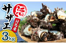 対馬産 活サザエ 3kg《対馬市》【保家商事】さざえ サザエ 刺し身 海鮮 魚貝 貝 海産物 [WAA032]