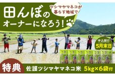 対馬 佐護 ツシマヤマネコ 米 田んぼオーナー1年権【ツシマヤマネコ米30kg付き】（対馬市）【一般社団法人MIT】 米作り体験 田植え 体験 稲刈り 離島 チケット 新米  [WAP015]