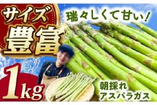 朝採れアスパラガス１kg 《対馬市》【農家くんのアスパラファーム】 冷蔵 アスパラ あすぱら とれたて 新鮮 野菜 産地直送  [WCT001]