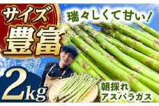 朝採れアスパラガス2kg 《対馬市》【農家くんのアスパラファーム】  冷蔵 アスパラ あすぱら とれたて 新鮮 野菜 産地直送 [WCT002]