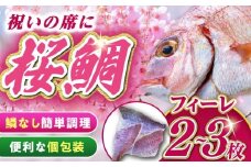 天然 桜鯛 フィーレ 1kg 《対馬市》【対馬新鮮組】 下処理済 鯛 真鯛 サクラダイ 新鮮 お祝い 冷凍配送 産地直送 [WCS002]