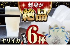 対馬産 ヤリイカ 刺身用 6杯《対馬市》【対馬新鮮組】 冷凍配送 小分け いか 新鮮　海鮮 冷凍配送 [WCS003]