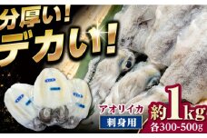 イカの王様！ アオリイカ 刺身用 約1kg（2～3枚入） 《対馬市》【対馬新鮮組】 高級 肉厚 水いか 新鮮 海鮮 冷凍配送 [WCS004]