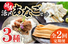 【全2回定期便】対馬 産 活〆 あなご セット《対馬市》【対馬地域商社】九州 長崎 煮あなご 佃煮 アナゴ [WAC053]