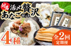【全2回定期便】対馬産 あなご 贅沢 セット 《対馬市》【対馬地域商社】九州 長崎 煮あなご 佃煮 アナゴ [WAC054]