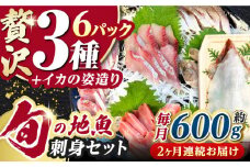 【全2回定期便】対馬 イカ 姿造り と 刺身 の セット 【真心水産】《対馬市》新鮮 海鮮 いか 冷凍 刺身 ケンサキイカ 島魚 海鮮丼 手巻き寿司 [WAK025]