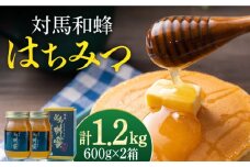 【超希少】対馬 和蜂 はちみつ 600g×2 《対馬市》【特定非営利活動法人 對馬次世代協議会（対馬コノソレ）】 蜂蜜 ハチミツ 日本ミツバチ 二ホンミツバチ [WAM030]