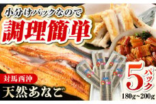 対馬産 あなご 天ぷら・煮付用 5パック 《対馬市》【対馬新鮮組】 冷凍配送 小分け アナゴ 新鮮 海鮮 冷凍 簡単調理 [WCS011]