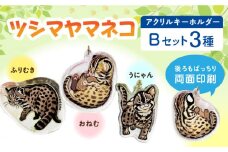 対馬 オリジナル ツシマヤマネコ 両面 アクリルキーホルダー Bセット ≪対馬市≫【一般社団法人MIT】  対馬山猫 アクキー お土産 にゃんこ 赤ちゃん [WAP017]