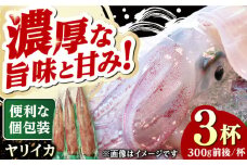 対馬産 ヤリイカ 3杯 ≪対馬市≫【エムズスタイル】 新鮮 冷凍発送 やりいか 刺身 海鮮 [WCN004]