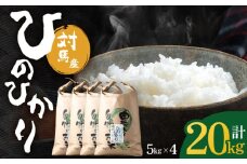 対馬産 ひのひかり 5kg×4 「ほたる舞う三根川の米」 《対馬市》【永留しいたけ農園】 小分け 新鮮 産地直送 米 お米 弁当  白米 20kg 5kg [WAJ020]