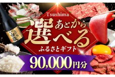 【あとから選べる】対馬市ふるさとギフト 9万円 分 《対馬市》 離島 米 肉 魚介 海鮮 木工品 常温 冷蔵 冷凍 [WZZ015]