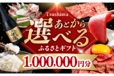【あとから選べる】対馬市ふるさとギフト 100万円 分 《対馬市》 離島 米 肉 魚介 海鮮 木工品 常温 冷蔵 冷凍 [WZZ021]