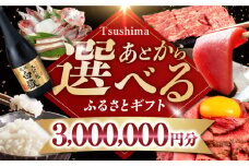 【あとから選べる】対馬市ふるさとギフト 300万円 分 《対馬市》 離島 米 肉 魚介 海鮮 木工品 常温 冷蔵 冷凍 [WZZ023]