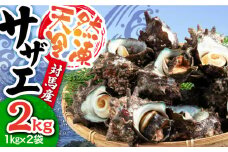 対馬産 天然冷凍サザエ 2kg ≪対馬市≫　【株式会社 保家商事】さざえ サザエ 刺し身 海鮮 魚貝 貝 海産物 [WAA038]