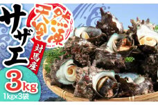 対馬産 天然冷凍サザエ 3kg ≪対馬市≫　【株式会社 保家商事】さざえ サザエ 刺し身 海鮮 魚貝 貝 海産物 [WAA039]