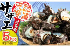 対馬産 天然冷凍サザエ 5kg ≪対馬市≫　【株式会社 保家商事】さざえ サザエ 刺し身 海鮮 魚貝 貝 海産物 [WAA040]
