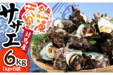対馬産 天然冷凍サザエ 6kg ≪対馬市≫　【株式会社 保家商事】さざえ サザエ 刺し身 海鮮 魚貝 貝 海産物 [WAA041]