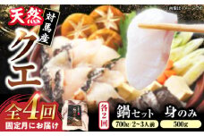【全4回発送月固定定期便】対馬産 天然 クエ鍋セット《対馬市》【石川水産】 鍋 水炊き 鮮度抜群 海鮮 [WAB014]