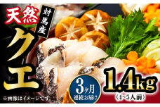 【全3回定期便】【 対馬産 】最高級 クエ 鍋 セット ( 4〜5人前 ) 《対馬市》【石川水産】 水炊き  鮮度抜群 海鮮 [WAB021]