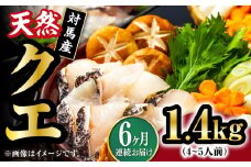 【全6回定期便】【 対馬産 】最高級 クエ 鍋 セット ( 4〜5人前 ) 《対馬市》【石川水産】 水炊き  鮮度抜群 海鮮 [WAB022]