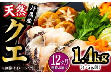 【全12回定期便】【 対馬産 】最高級 クエ 鍋 セット ( 4〜5人前 ) 《対馬市》【石川水産】 水炊き  鮮度抜群 海鮮 [WAB023]