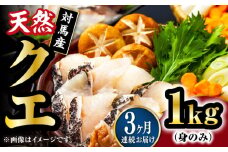 【全3回定期便】【 対馬産 】 天然 クエ 1kg（500g×2）（身のみ）《対馬市》【石川水産】 鍋 水炊き 鮮度抜群 海鮮 クエ 天然クエ [WAB024]
