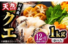 【全12回定期便】【 対馬産 】 天然 クエ 1kg（500g×2）（身のみ）《対馬市》【石川水産】 鍋 水炊き 鮮度抜群 海鮮 クエ 天然クエ [WAB026]
