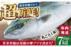 【12/29発送】真空！寒ブリ（6kg〜7kg）《対馬市》【対馬新選組】ぶり ブリ 鰤 ぶりしゃぶ しゃぶしゃぶ 刺身 鮮魚 海鮮 魚 対馬 長崎 国産 新鮮 冷蔵 鍋 海鮮鍋 年末 正月 年内発送 年内配送 年末配送 時間指定 [WCS009]
