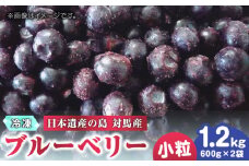 【最速発送】対馬産 ブルーベリー 600g×2袋 計1.2kg（ 冷凍 ） 【さほの里ファーム 】《 対馬市 》 小粒　離島 対馬 無農薬 有機肥料 旬 果物 フルーツ [WBG011] スピード発送 最短発送