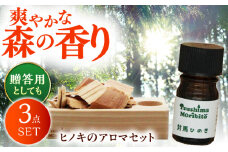 対馬ひのき 精油 × アロマディッシュ ギフト セット《対馬市》【一般社団法人MIT】 対馬 プレゼント 贈答用 消臭 アロマ [WAP020]