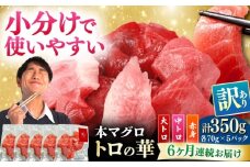 【全6回定期便】訳あり！対馬産 本マグロ 切り落とし 350g（5パック） ≪対馬市≫【桐谷商店】 トロの華 冷凍 新鮮 海鮮 小分け マグロ [WAQ021]