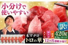 【全12回定期便】訳あり！対馬産 本マグロ 切り落とし 420g（6パック） ≪対馬市≫【桐谷商店】 トロの華 冷凍 新鮮 海鮮 小分け マグロ [WAQ026]