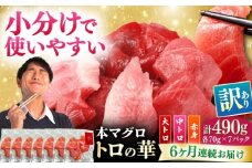 【全6回定期便】訳あり！対馬産 本マグロ 切り落とし 490g（7パック） ≪対馬市≫【桐谷商店】 トロの華 冷凍 新鮮 海鮮 小分け マグロ [WAQ029]