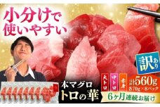 【全6回定期便】訳あり！対馬産 本マグロ 切り落とし 560g（8パック） ≪対馬市≫【桐谷商店】 トロの華 冷凍 新鮮 海鮮 小分け マグロ [WAQ033]