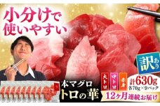 【全12回定期便】訳あり！対馬産 本マグロ 切り落とし 630g（9パック） ≪対馬市≫【桐谷商店】 トロの華 冷凍 新鮮 海鮮 小分け マグロ [WAQ038]