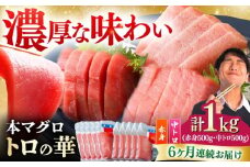 【全6回定期便】対馬産 本マグロ 1kg（赤身500g、中トロ500g） ≪対馬市≫【桐谷商店】 トロの華 対馬 新鮮 マグロ トロ 鮪 刺身 鮮度抜群 [WAQ053]