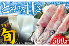 ヤリイカ お刺身用 500g 《対馬市》【海風商事】 小分け 刺身 いか イカ ヤリイカ 新鮮 海鮮 冷凍 [WAD053]
