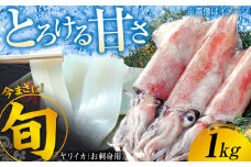 ヤリイカ お刺身用 1kg 《対馬市》【海風商事】 小分け 刺身 いか イカ ヤリイカ 新鮮 海鮮 冷凍 [WAD054]