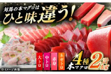 対馬産 本マグロ 4種 計2kg（赤身/中トロ/大トロ/ネギトロ）《対馬市》【対海】 冷凍配送 大容量 新鮮 贈答 贈り物 海鮮丼 手巻き寿司 [WAH027]
