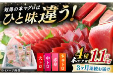 【全3回定期便】 対馬産 本マグロ 4種 計1.1kg（赤身/中トロ/大トロ/ネギトロ）《対馬市》【対海】 冷凍配送 食べ比べ 新鮮 手巻き寿司 海鮮丼 [WAH037]
