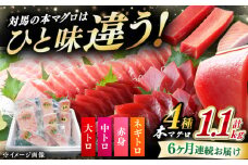 【全6回定期便】 対馬産 本マグロ 4種 計1.1kg（赤身/中トロ/大トロ/ネギトロ）《対馬市》【対海】 冷凍配送 食べ比べ 新鮮 手巻き寿司 海鮮丼 [WAH038]