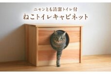 対馬すぎ ねこトイレキャビネット（ニャンとも清潔トイレ付） [WAP022]