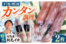 【特大】 剣先 イカ （ 生 冷凍 ）2枚 《対馬市》【石川水産】刺身 塩辛 鮮度抜群 海鮮 [WAB027]